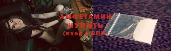 индика Карпинск