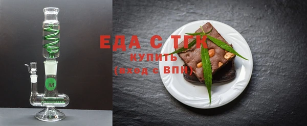индика Карпинск