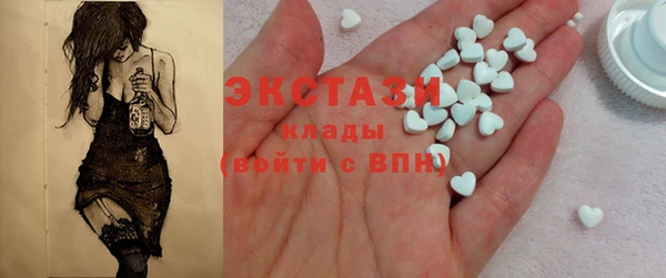 индика Карпинск