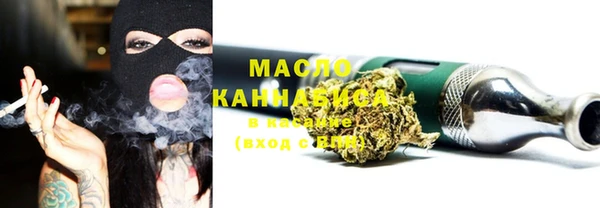 индика Карпинск