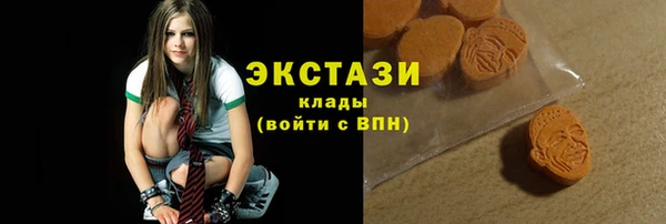 индика Карпинск