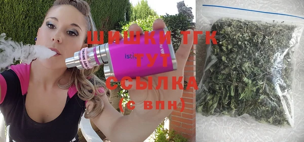 индика Карпинск