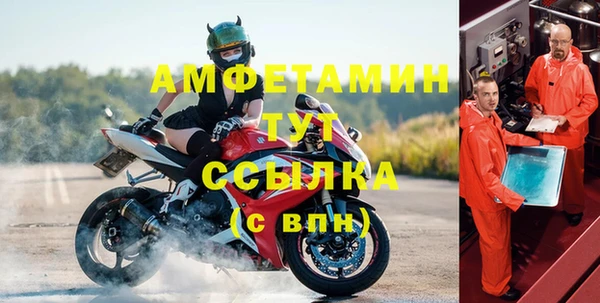 индика Карпинск