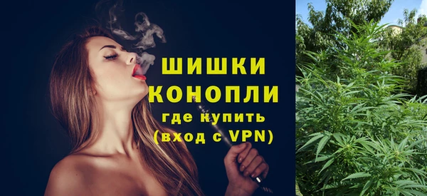 индика Карпинск