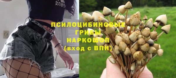 индика Карпинск