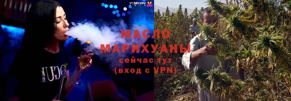 индика Карпинск