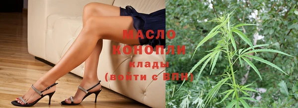 индика Карпинск