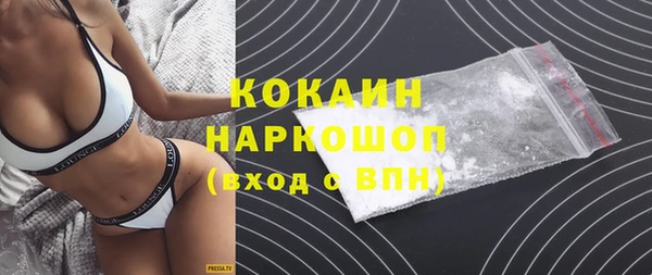 индика Карпинск